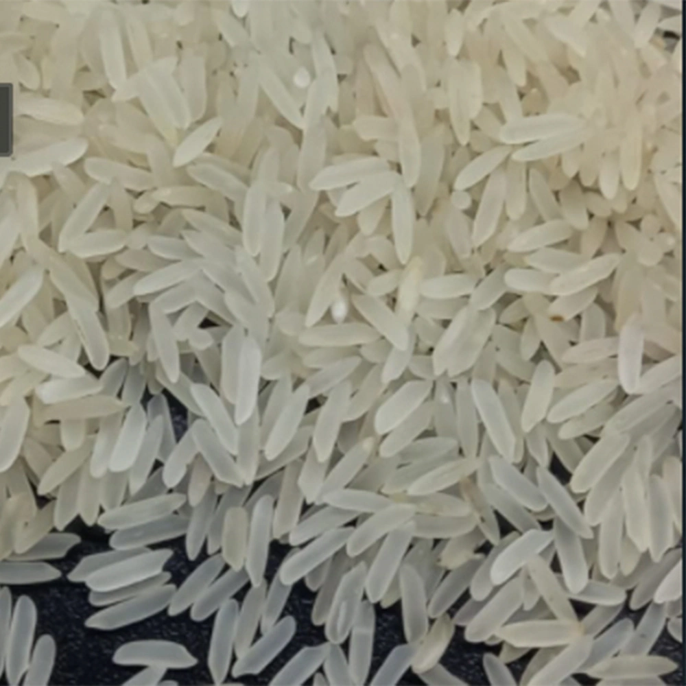 Non Basmati Rice PR11-NBR-PR11-SELLA