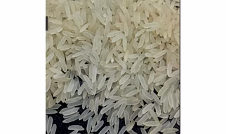 Non Basmati Rice PR11