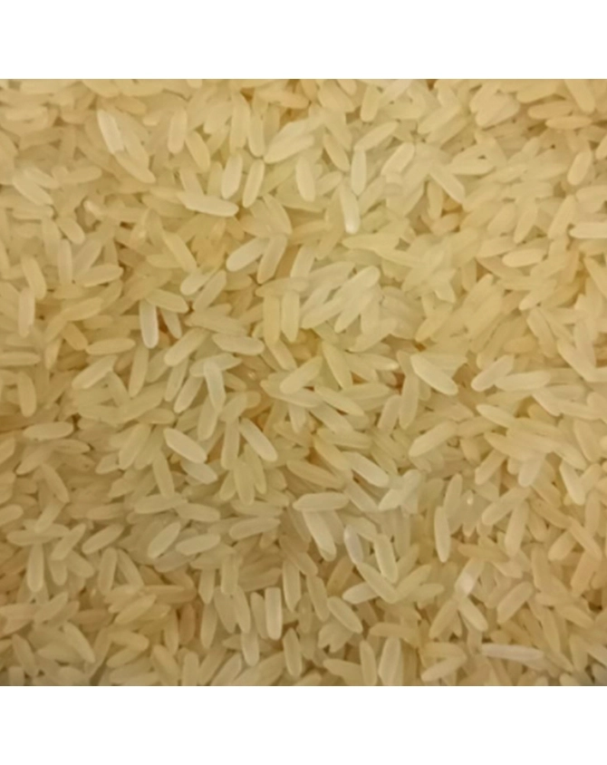 Non Basmati Rice PR11-NBR-PR11-G-SELLA