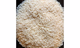 Non Basmati Rice Sona Masoori