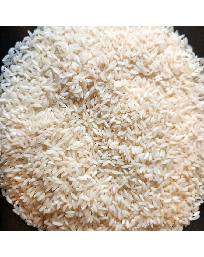Non Basmati Rice Sona Masoori-NBR-SONA-MASOORI-STEAM