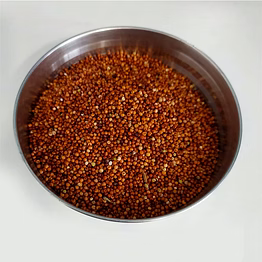 hsg finger millet