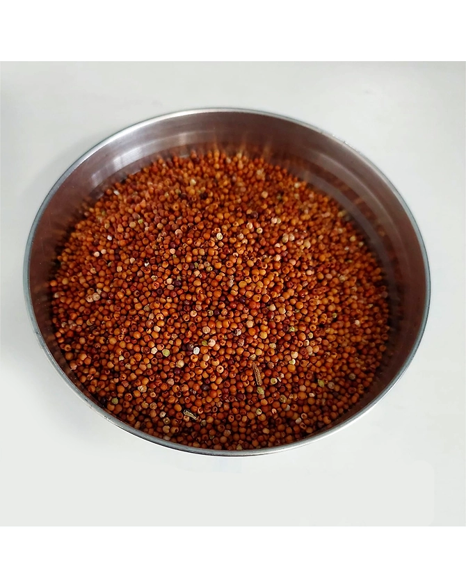 Finger Millet-2