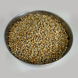 hsg pearl millet