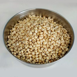 hsg white sorghum