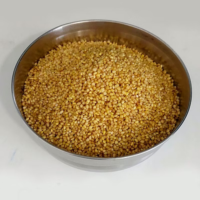 hsg foxtail millet