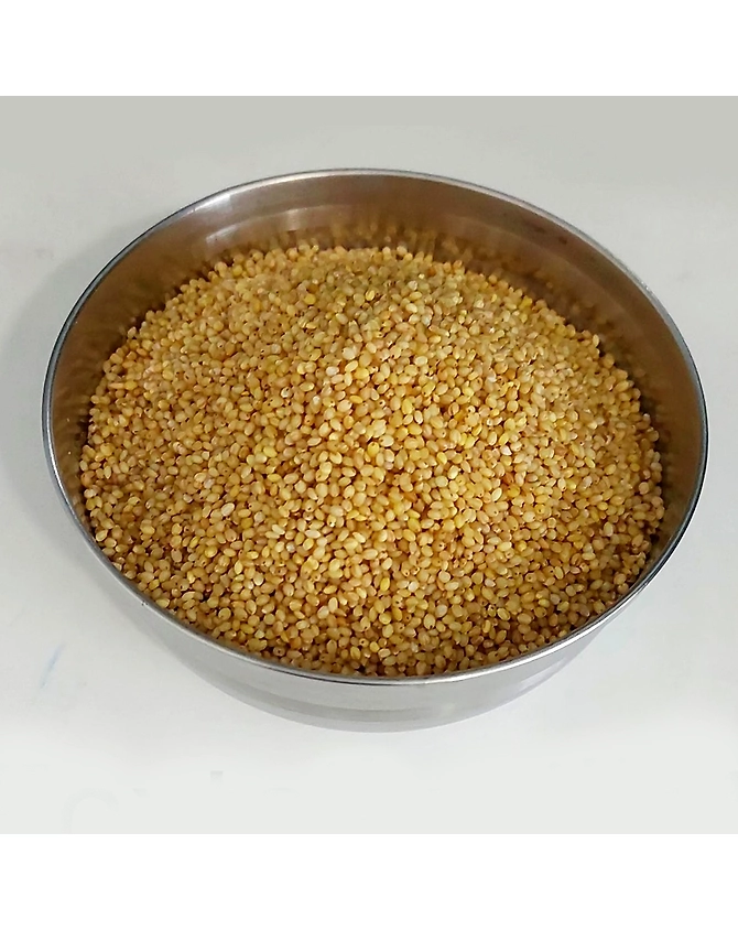 Foxtail Millet-2