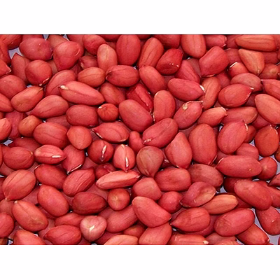 hsg raw peanuts - bold