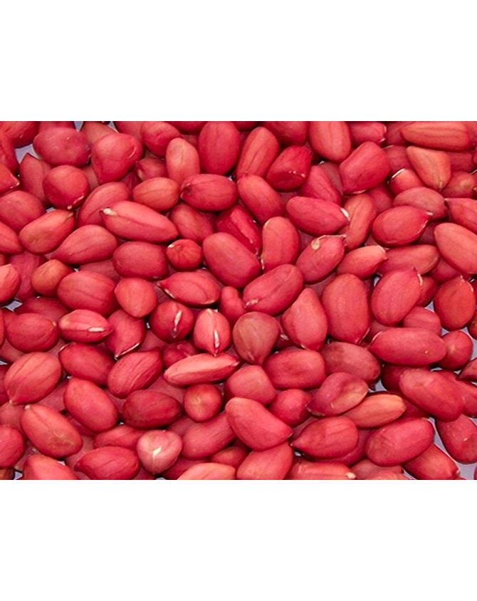 Raw Peanuts - Bold-3
