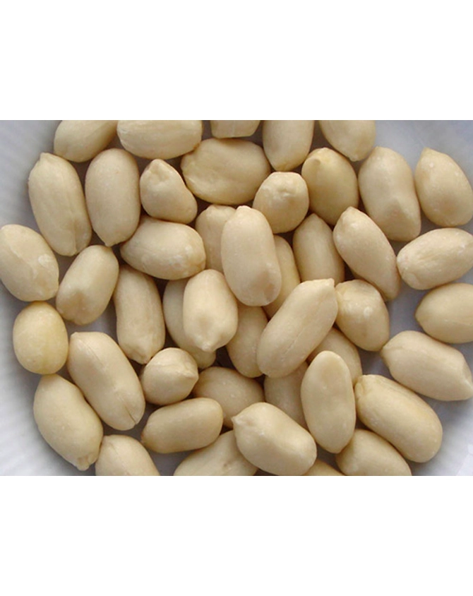 Blanched Peanuts - Whole-3