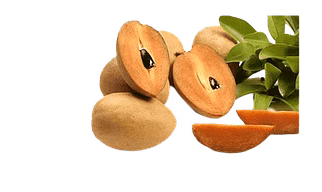 De hydrated Chikoo Powder