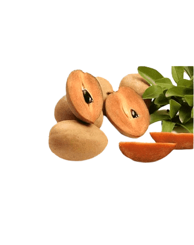 De hydrated Chikoo Powder-1