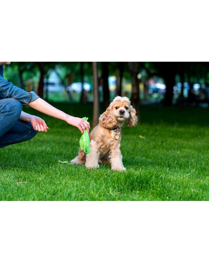 Pet Waste Bag-2