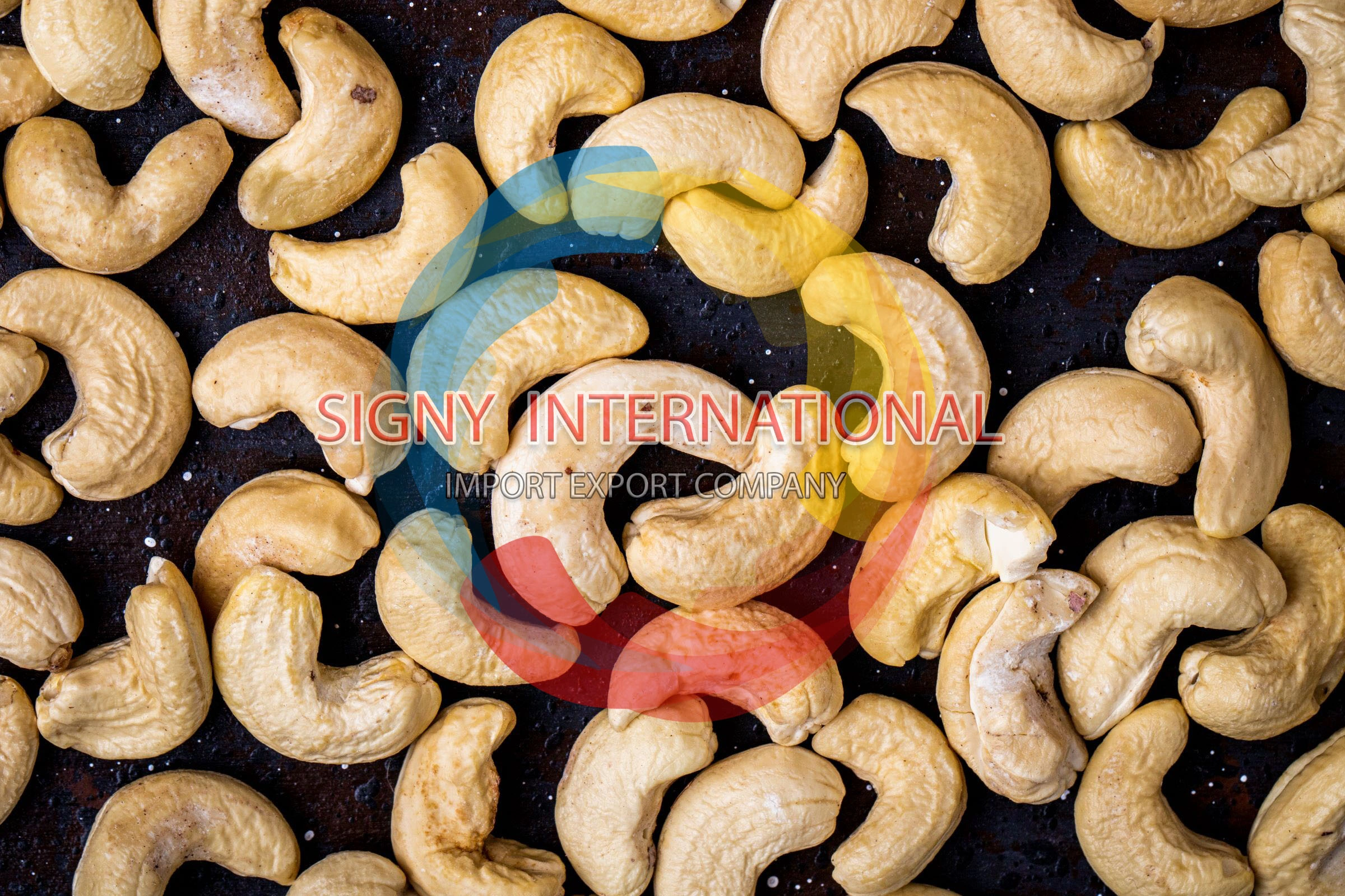 Cashews WW180 / 210 / 240 / 320 / 400-11773184