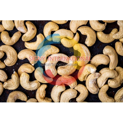 Cashews WW180 / 210 / 240 / 320 / 400