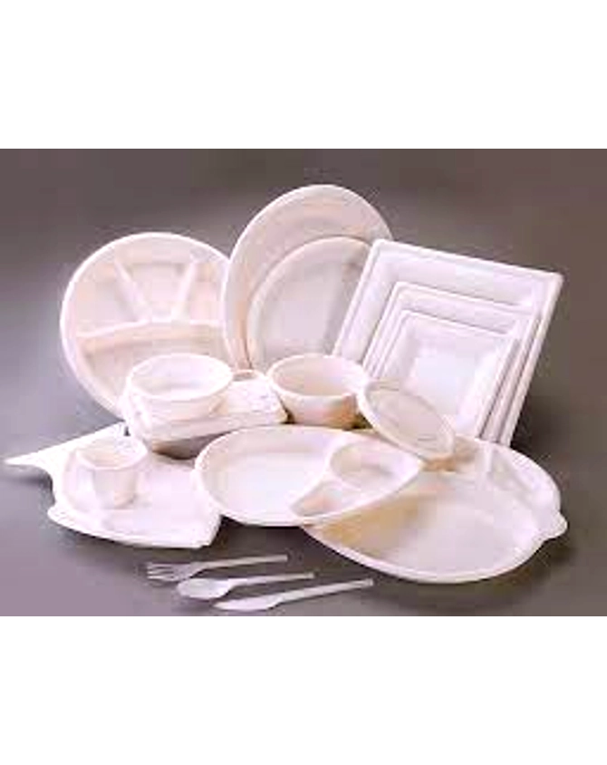 Bagasse Products-12349342