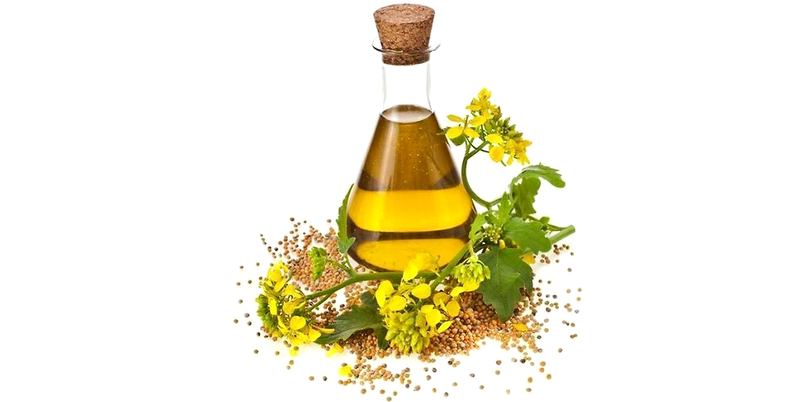 Benefits of Palmarosa Essential Oil