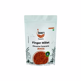 finger millet