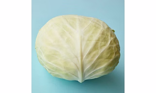 Cabbage