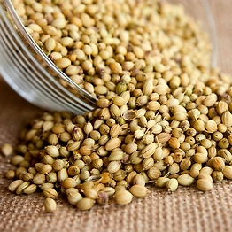 Coriander seeds