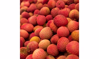 Lychee