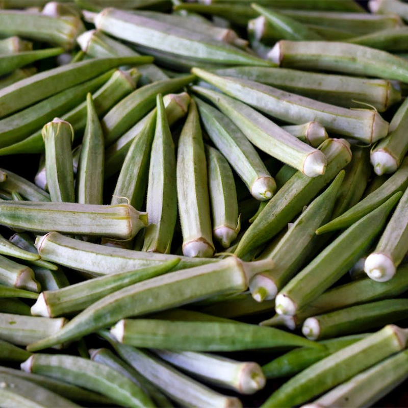 Okra (ladies finger)-1019