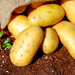 potato