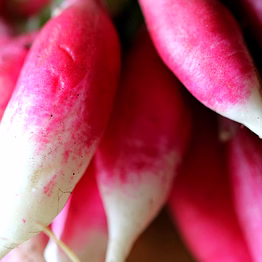 radish
