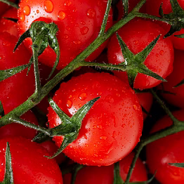 tomato