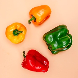 Capsicum
