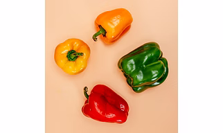 Capsicum