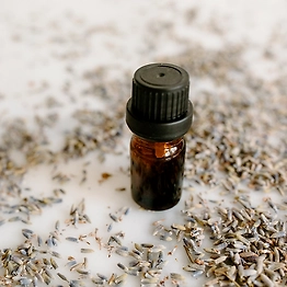 Cumin seeds