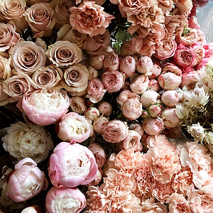 Peach - Peach Avalanche