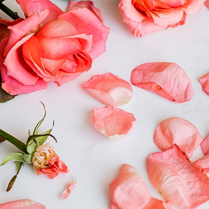 Series Pink - Karenza, Sai