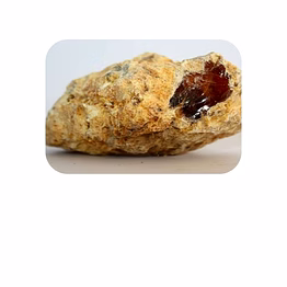 ambergris