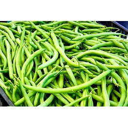 Bean