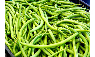 Bean