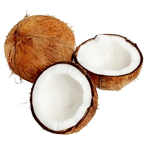 Coconut