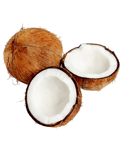 Coconut-12706337
