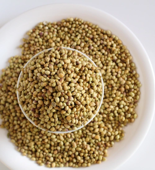 Coriander Seeds-2