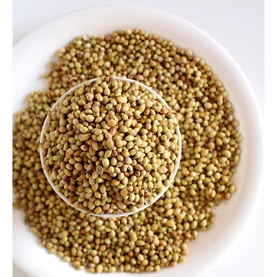 Coriander Seeds-3