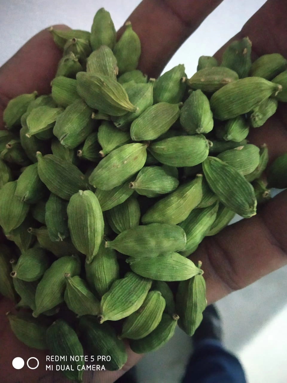 Green Cardamom-3