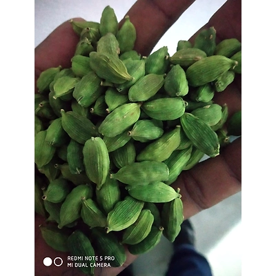 Green Cardamom-4