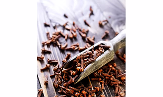 CLOVE