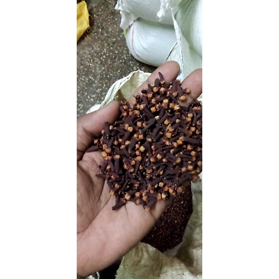CLOVE-4