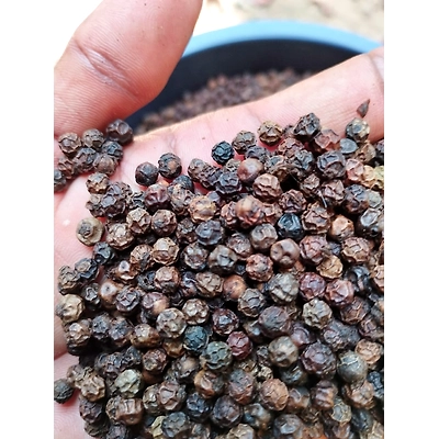 Black Pepper-1