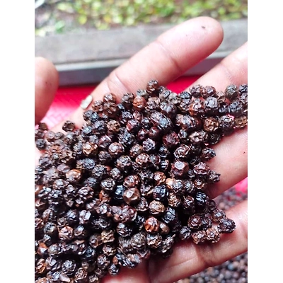 Black Pepper-2