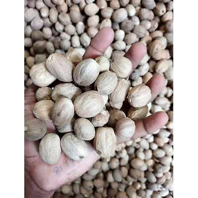 Nutmeg-3