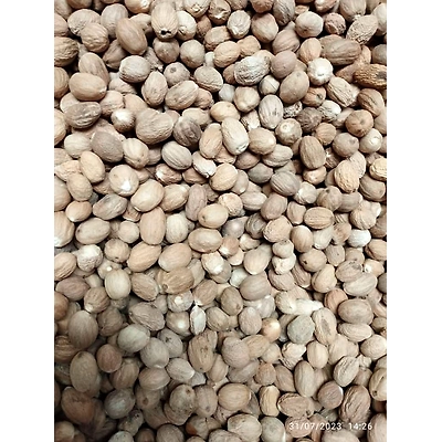 Nutmeg-4