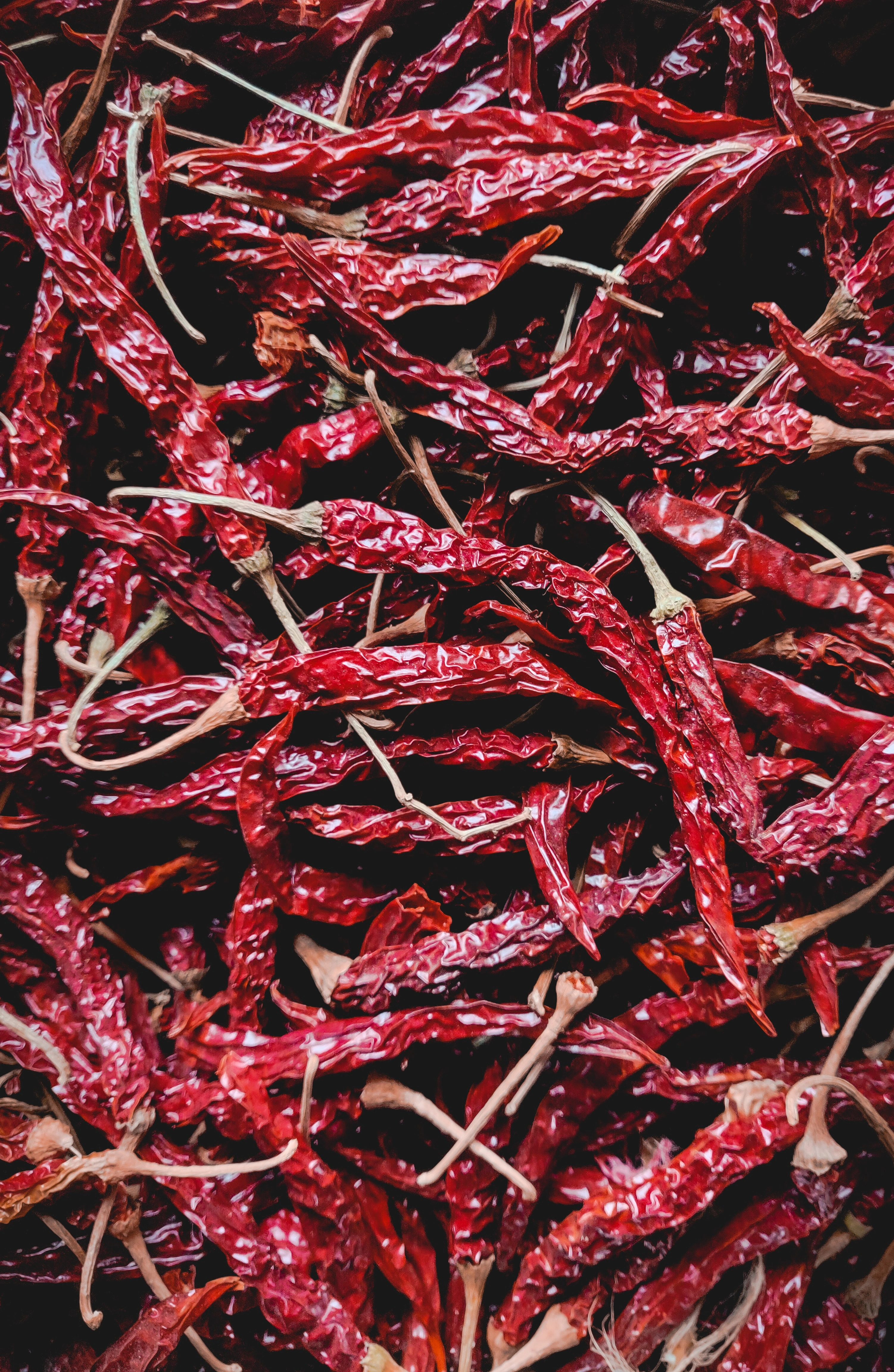 Dried Red Chilly-1